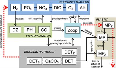 Regionally disparate ecological responses to microplastic slowing of faecal pellets yields coherent carbon cycle response